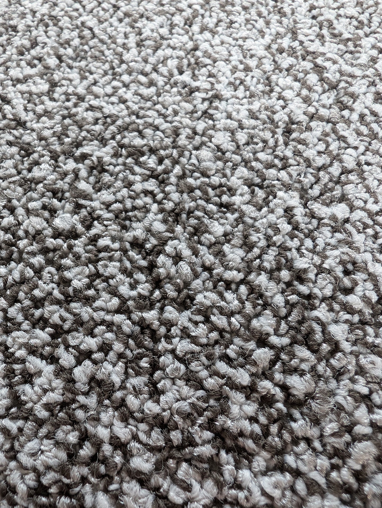ONTERA 2201 (116.94sqm) 46cm X 46cm CARPET TILE SPECIAL
