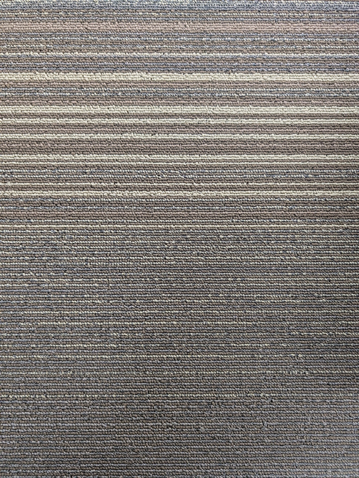 COASTLINE 01 CARPET TILES 50cm X 50cm SPECIAL. 80.5 SQUARE METRES AVAILABLE.