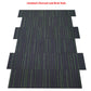 Limeback Charcoal