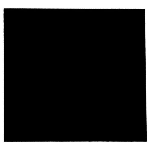 Black Petal II Pure Black - 50cm x 50cm Carpet Tiles